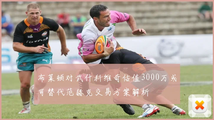 布莱顿对武什科维奇估值3000万或可替代范赫克交易方案解析