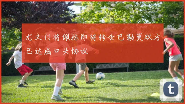 尤文门将佩林即将转会巴勒莫双方已达成口头协议