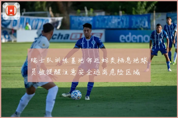 瑞士队训练基地邻近蛇类栖息地球员被提醒注意安全远离危险区域